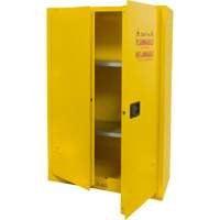 Flammable Storage Cabinet, 45 gal., 2 Door, 43" W x 65" H x 18" D FMT Sales Ltd