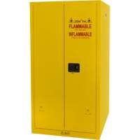 Flammable Storage Cabinet, 60 gal., 2 Door, 34" W x 65" H x 34" D FMT Sales Ltd