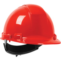 North&reg; Whistler Hardhat, Meets CSA Type 1, Ratchet Suspension, Vented FMT Sales Ltd