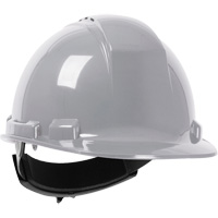 North&reg; Whistler Hardhat, Meets CSA Type 1, Ratchet Suspension, Vented FMT Sales Ltd