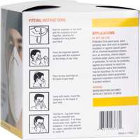 Disposable Nuisance Dust Mask FMT Sales Ltd