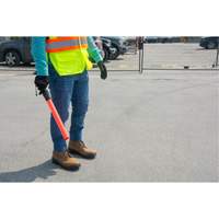 Safety Baton Light FMT Sales Ltd