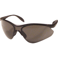 Miranda Safety Glasses, Grey Lens, Anti-Scratch, Meets/Exceeds CSA Z94.3 FMT Sales Ltd