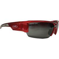 Hartley Safety Glasses, Grey Lens, Polarized, Meets/Exceeds CSA Z94.3 FMT Sales Ltd