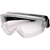 Cambridge Safety Goggles, Clear Lens, Anti-Fog, Indirect Vent FMT Sales Ltd