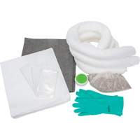 Spill Kit, Oil Only/Universal, Bag, 10 US gal. Absorbancy FMT Sales Ltd