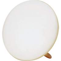 Jumbo Therapy Light for Seasonal Affective Disorder FMT Sales Ltd