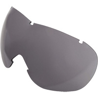 Lentille de rechange pour les lunettes de s&eacute;curit&eacute; &agrave; coques Uvex Sub-Zero, Antibu&eacute;e/anti-&eacute;gratignures, Gris, Uvex Sub-Zero FMT Sales Ltd