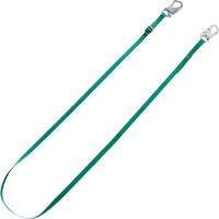 V-Series Tieback Restraint Lanyard, 10' FMT Sales Ltd