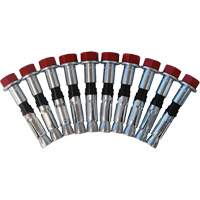 Replacement Bolt Kit for Concrete D-Ring Anchors, Bolt-On, Permanent/Temporary Use FMT Sales Ltd