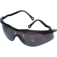 Lunettes de s&eacute;curit&eacute; North The Edge, Lentille Fum&eacute;e, Antibu&eacute;e/Anti-&eacute;gratignures, R&eacute;pond ou surpasse la norme CSA Z94.3 FMT Sales Ltd