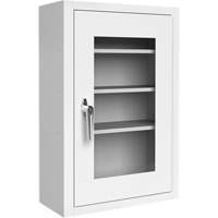 Lockable Medicine Cabinet with Plexiglas Door FMT Sales Ltd