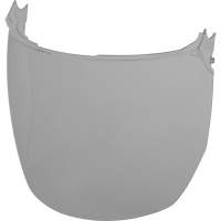 Lentilles de remplacement d&eacute;cran facial, Polycarbonate, Teinte Grise/fum&eacute;e FMT Sales Ltd