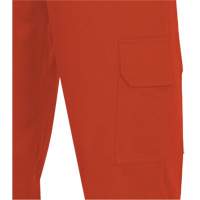 7765 Pantalon cargo de s&eacute;curit&eacute; haute visibilit&eacute; r&eacute;sistant aux arcs &eacute;lectriques FR-Tech 88/12, 30, x 32, Orange haute visibilit&eacute;, 10 cal/cm² FMT Sales Ltd