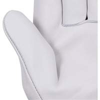 535G Beige Driver's Gloves, Small, Grain Cowhide Palm FMT Sales Ltd