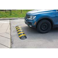 Speed Bump Kit, Rubber, 4' L x 11" W x 2" H FMT Sales Ltd