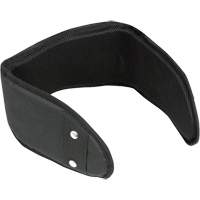 WB-6006 Padded Lumbar Support for Belt - Universal FMT Sales Ltd