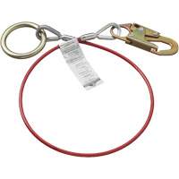 AS-21210-6 Ancrage de c&acirc;ble 6' avec crochet mousqueton & joint torique, Chaîne, Usage Temporaire FMT Sales Ltd