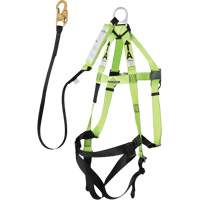 FBH-10000A5440-4 Harnais & longe classe A de 4' avec capacit&eacute; de 220 lb, Combinaison harnais/longe FMT Sales Ltd