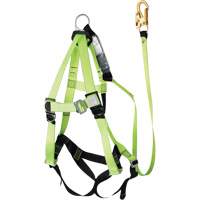 FBH-10000A6440-4 Harnais & longe classe A de 4' avec capacit&eacute; de 350 lb, Combinaison harnais/longe FMT Sales Ltd