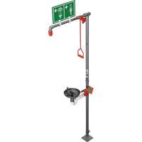 Combination Shower with Open Stainless Steel Bowl & Top Inlet, Pedestal FMT Sales Ltd