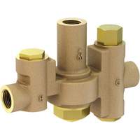 Mid-Capacity Thermostatic Mixing Valve for Individual Eye/Face Wash Stations, 2 - 35.1 GPM FMT Sales Ltd