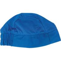 Cooling Skull Cap, Blue FMT Sales Ltd