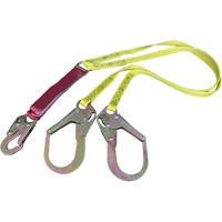 External Energy Absorber Lanyard with 2-1/4" Hooks, 6', Snap Hook Center, Snap Hook Leg Ends, Polyester FMT Sales Ltd
