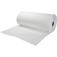 Rouleaux absorbants li&eacute;es, Poids moyen, 150' lo x 30" la, Absorption 20 gal. FMT Sales Ltd
