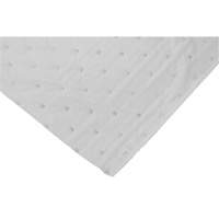Rouleaux absorbants li&eacute;es, Poids moyen, 150' lo x 30" la, Absorption 20 gal. FMT Sales Ltd