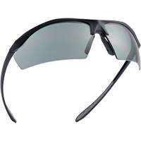 Sentinel Ballistic Protection Safety Glasses, Smoke Lens, Anti-Fog/Anti-Scratch/Polarized, ANSI Z87+ FMT Sales Ltd