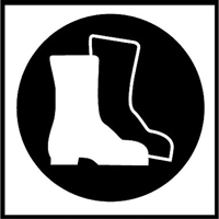 &eacute;tiquettes avec pictogramme Right to Know - Bottes, Vinyle, Feuille, 5/8" lo x 3/4" la FMT Sales Ltd