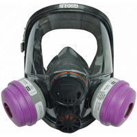 Respirateur &agrave; masque complet North s&eacute;rie 7600, Silicone, Grand/Moyen/Moyen/grand FMT Sales Ltd