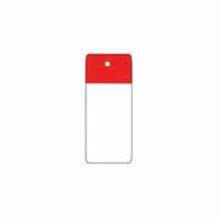 Scaffold Safety Tags, Polyester, 4" W x 7" H, English FMT Sales Ltd