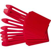 Blank Plastic Lock-On Tags, Plastic, 3-1/4" W x 5-4/5" H, Blank FMT Sales Ltd