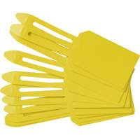 Blank Plastic Lock-On Tags, Plastic, 3-1/4" W x 5-4/5" H, Blank FMT Sales Ltd