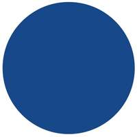 &eacute;tiquettes rondes inscriptibles, Cercle, 1,5" lo x 1,5" la, Bleu FMT Sales Ltd
