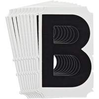 Quick-Align&reg; Individual Gothic Number and Letter Labels, B, 4" H, Black FMT Sales Ltd