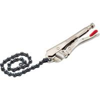 Locking Chain Clamp with Chain FMT Sales Ltd