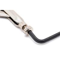 Locking Chain Clamp with Chain FMT Sales Ltd