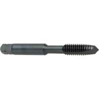 Taraud &agrave; entr&eacute;e h&eacute;licoidale, Acier rapide au cobalt, Filet de 8-32, 2-1/8" l FMT Sales Ltd