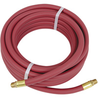 Boyau pneumatique robuste, Air, PVC, 3/8" dia. x 25', 300 psi, 3/8" NPT FMT Sales Ltd