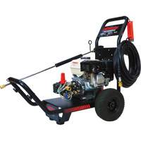 Laveuses &agrave; pression professionnelles pour service moyen, Essence, 2500 PSI, 3 gal./min FMT Sales Ltd