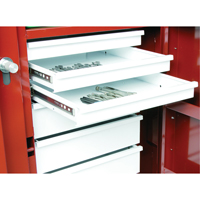 Rolling Work Bench, 49-7/8" W x 40-5/8" H x 26-7/8" D, 24.6 Cubic Feet Capacity FMT Sales Ltd