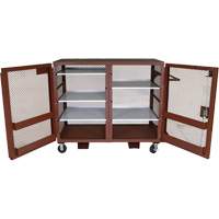 Armoire mobile en treillis, Acier, 49 pi³, Rouge FMT Sales Ltd