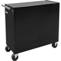 Industrial Tool Cart, 11 Drawers, 41" W x 18-3/4" D x 39-1/3" H, Black FMT Sales Ltd