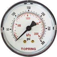 Replacement Pressure Gauge, 2" , 0 - 175 psi, Back Mount, Analogue FMT Sales Ltd