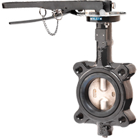 Butterfly Valves - Series BFV, 2" Pipe, 225 PSI FMT Sales Ltd