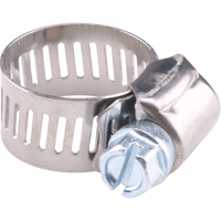 Reusable Zinc Plated Stainless Steel Clamp, Min Dia. 5/16", Max Dia. 7/8" FMT Sales Ltd