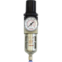 Modular Filter/Regulator, 1/4" NPT, 150 PSI, 0.5 fl.oz. Capacity FMT Sales Ltd
